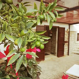 *** Bed & Breakfast Terrazzani Italia